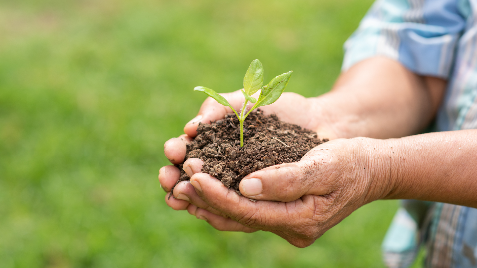 Regularização ambiental