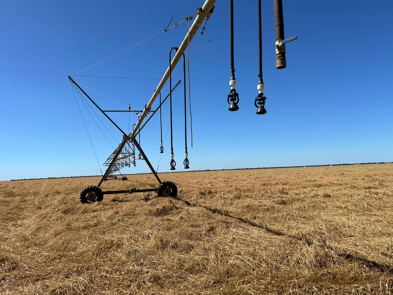 Galeria Boa Safra Sementes - Gustavo Vilela