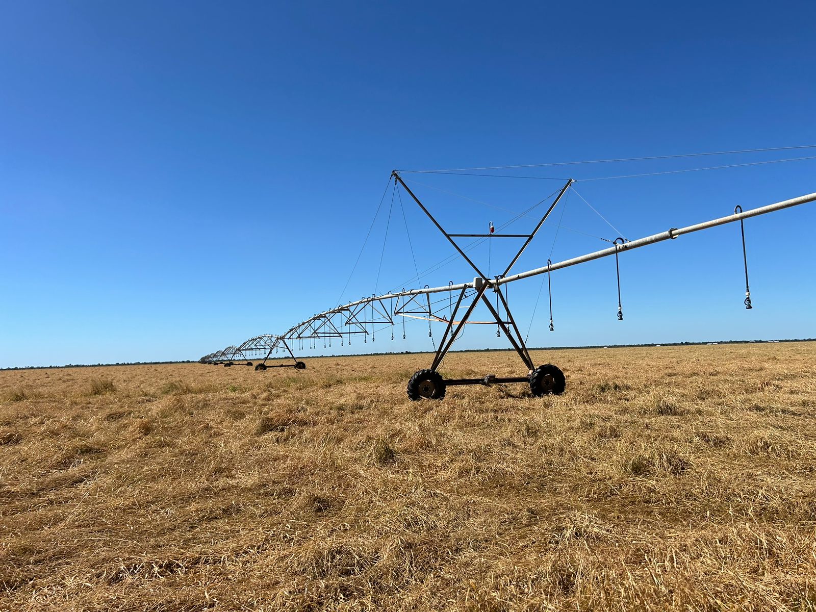Galeria Boa Safra Sementes - Gustavo Vilela