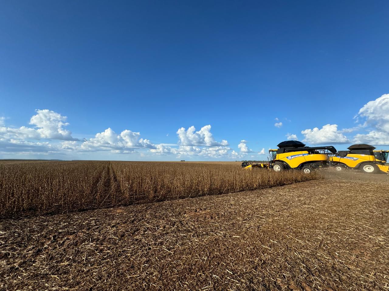 Galeria Rural Brasil - Agrogalaxy - Tarley Gomes