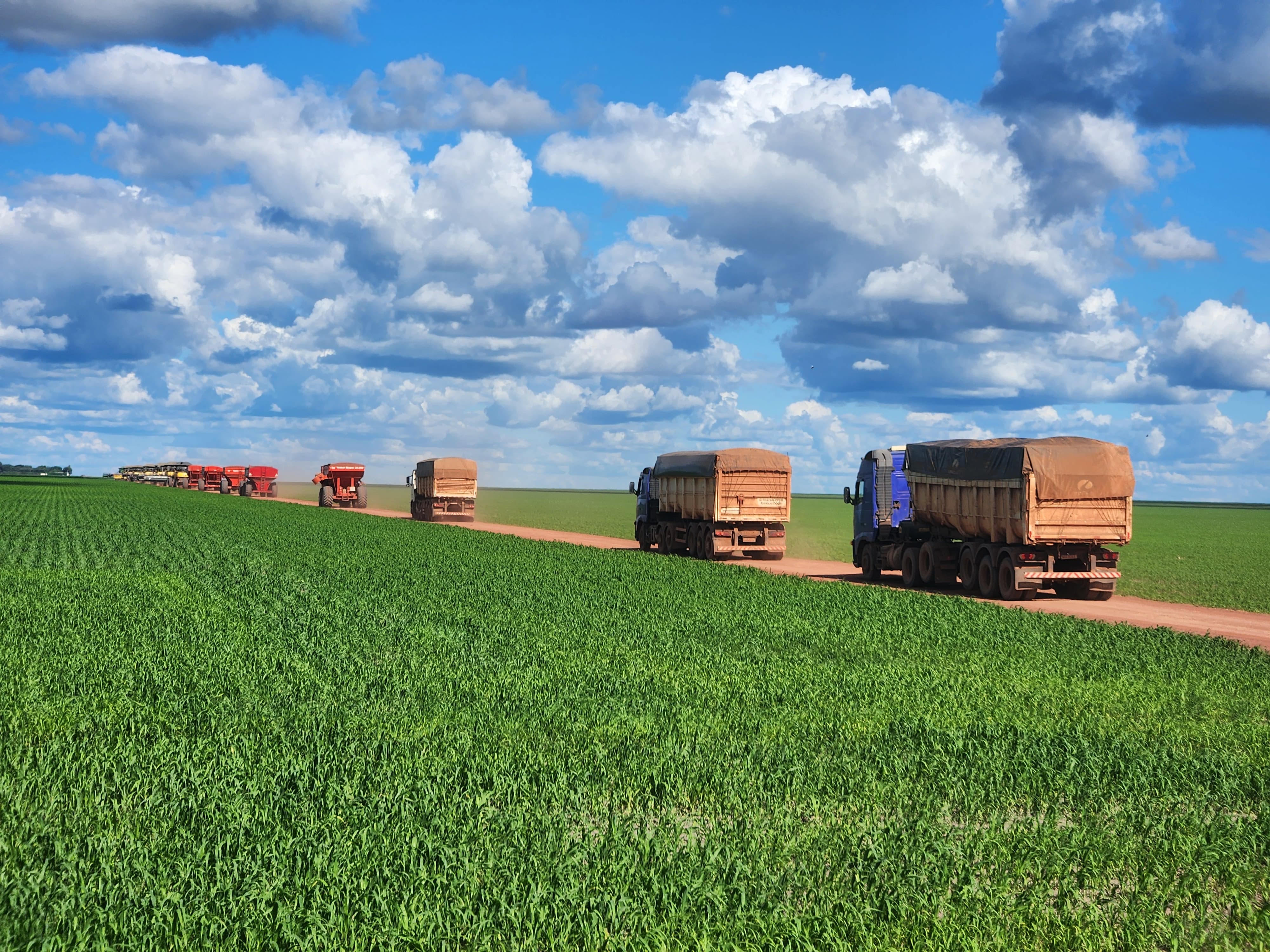 Galeria Agrop. Dalto - São Desidério/BA