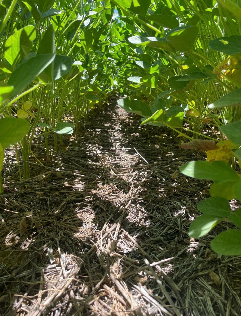 Galeria Modelo Consultoria - Juliano Azevedo - Crixas/GO