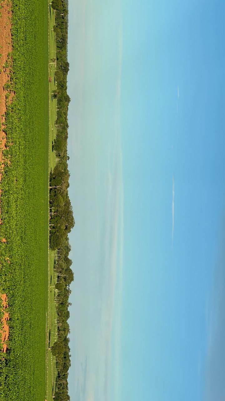 Galeria Modelo Consultoria - Juliano Azevedo - Crixas/GO