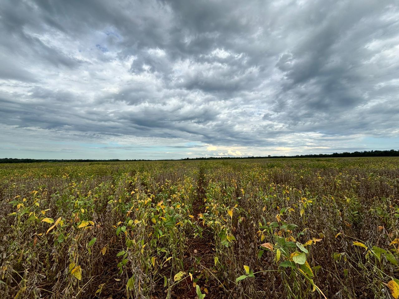 Galeria Modelo Consultoria - Juliano Azevedo - Crixas/GO