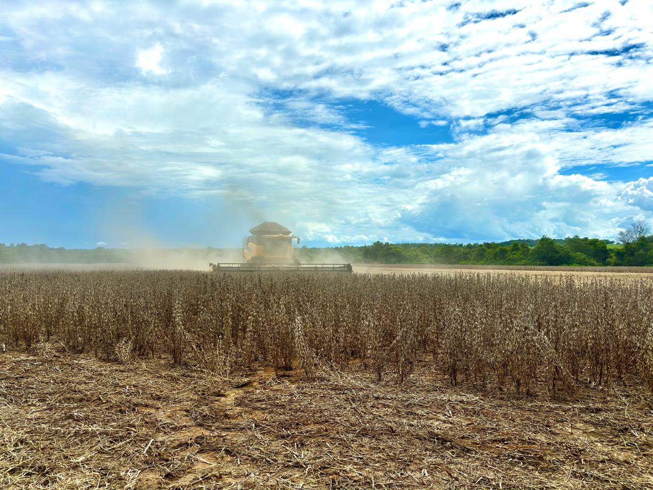 Galeria Modelo Consultoria - Juliano Azevedo - Crixas/GO