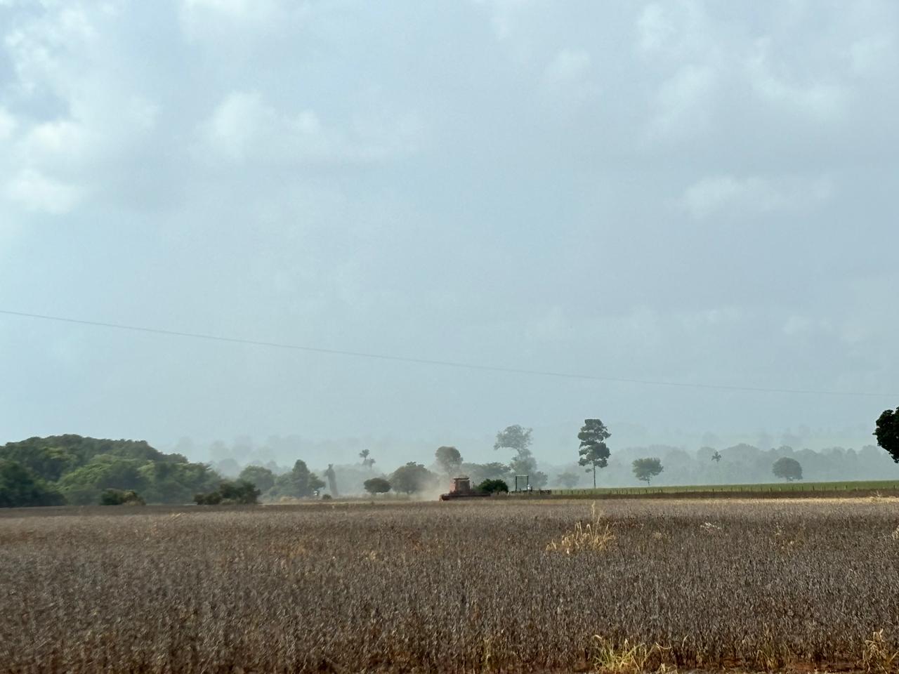 Galeria Modelo Consultoria - Juliano Azevedo - Crixas/GO